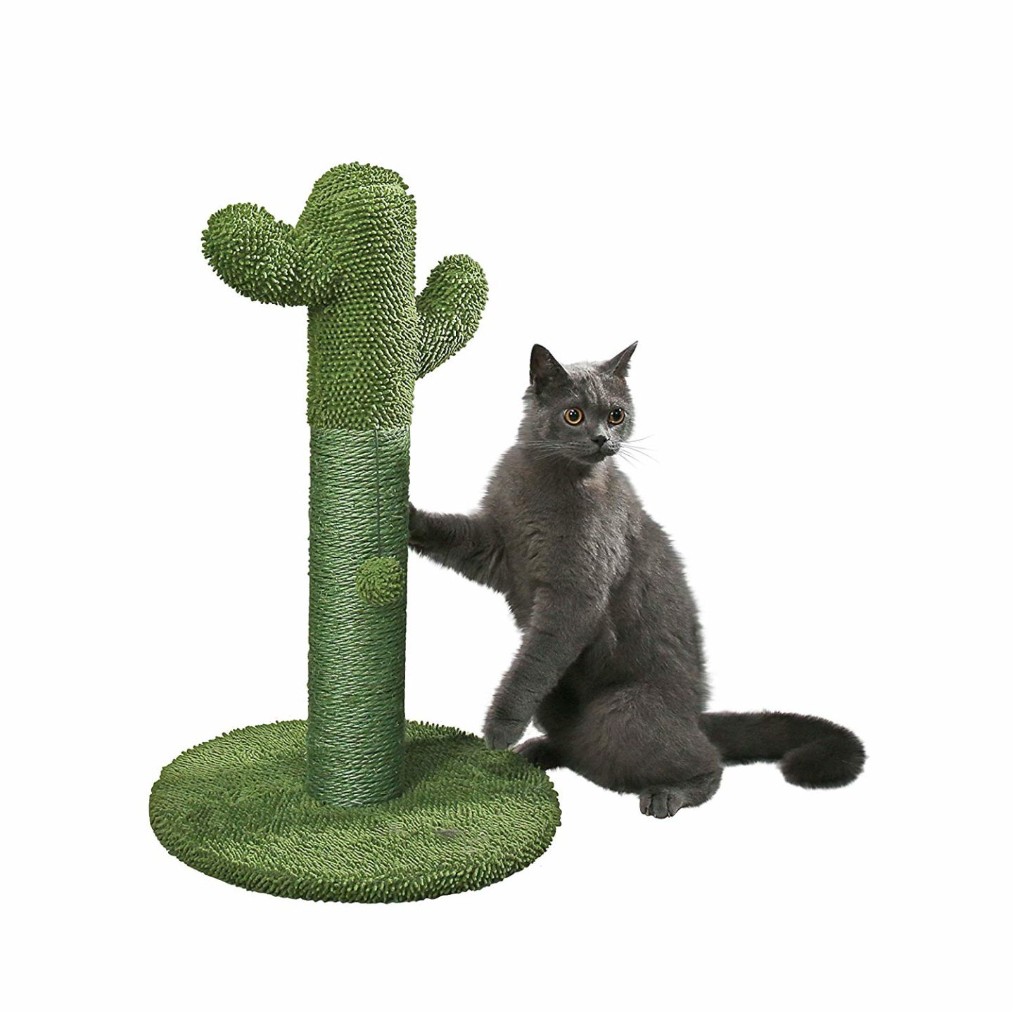Cactus Scratcher